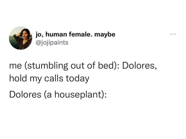 Me asking my houseplant to handle my responsibilities because I just woke up.