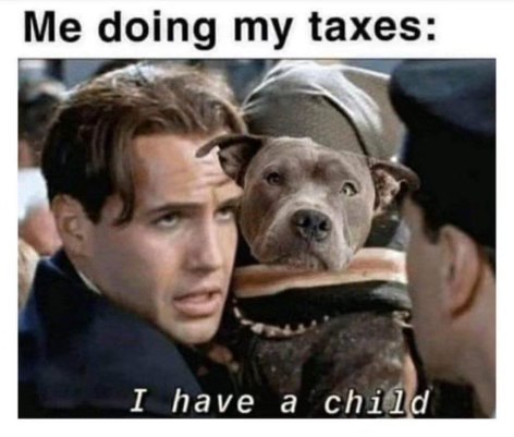 Me pretending my dog counts as a dependent on my taxes