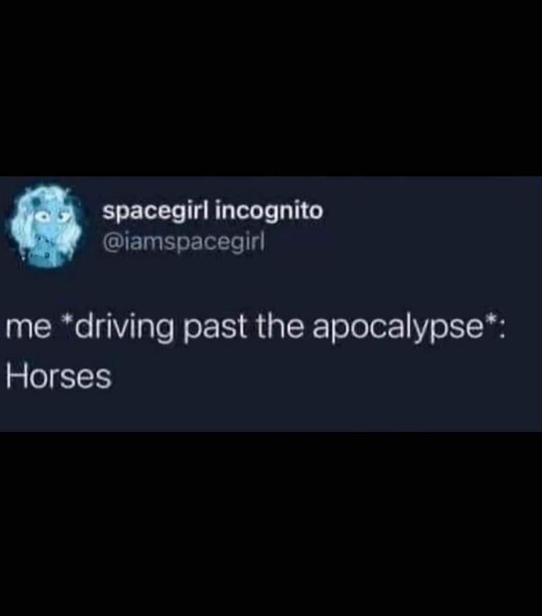 Me driving past the apocalypse just focused on the horses, like I'm in a video game lol