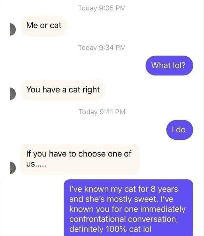 Ouch... choosing between a partner and the cat is a tough call, but this person really laid it all out there.