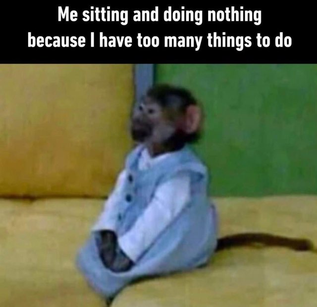 Me when my to-do list is longer than my attention span and I just sit here realizing it