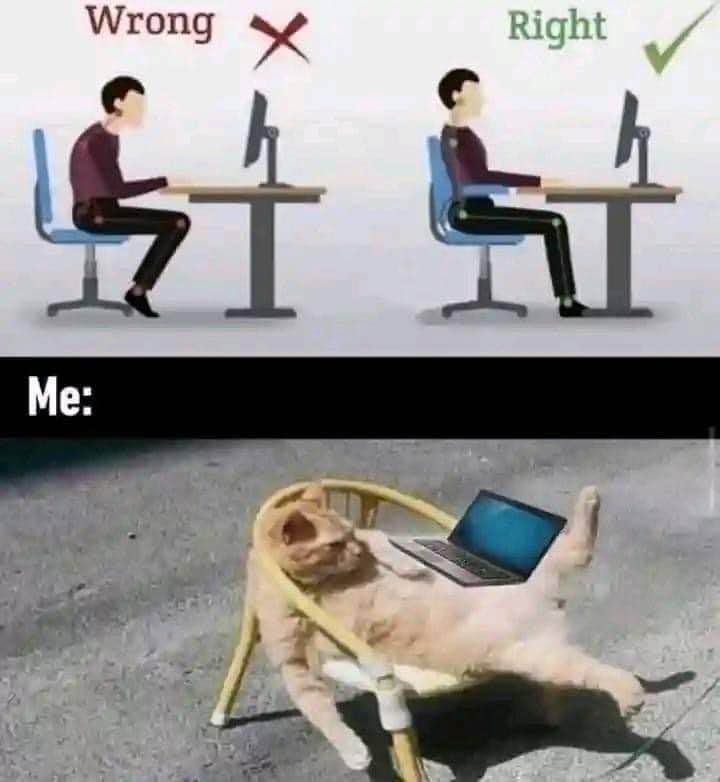 This is literally me trying to work from home. The posture is a suggestion, right?