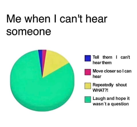 My entire strategy for dealing with people who mumble