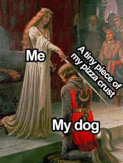 Me bestowing the highest honor upon my dog: a tiny piece of pizza crust