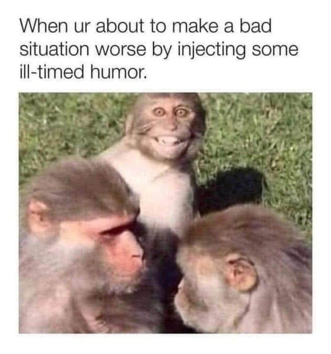 Me piping up with a joke that I know is gonna make things so much worse