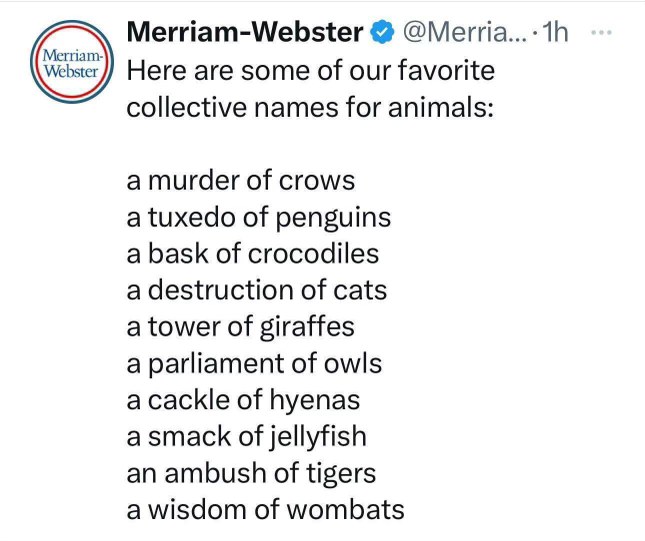 When Merriam-Webster says cats are a 'destruction'. They know.