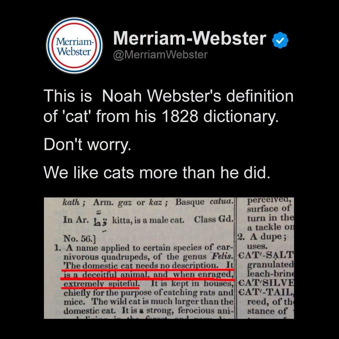 Noah Webster's 1828 definition of 'cat' calling them deceitful and spiteful lol