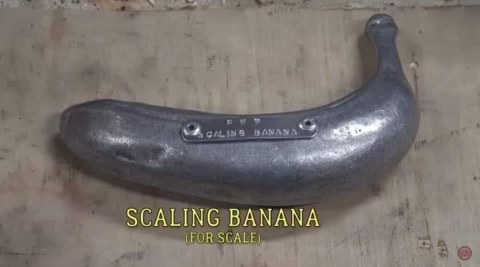 OMG I found the ultimate banana for scale. It's so metal.
