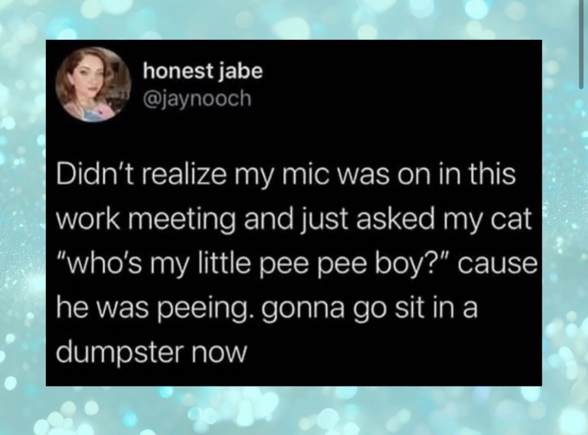When you forget your mic is on during a work meeting and start baby-talking your cat. I'd be hiding in that dumpster too.