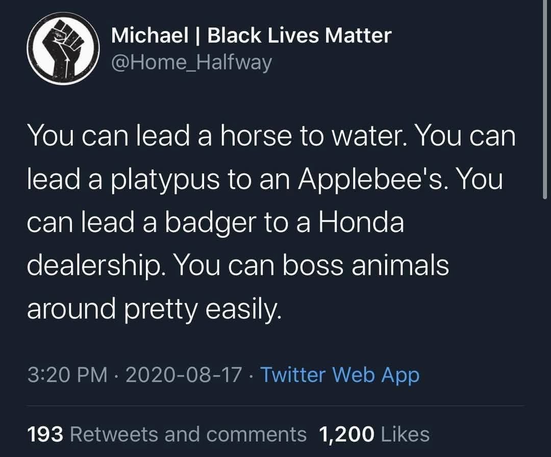 My brain trying to do basic tasks vs. my brain when I have to boss animals around