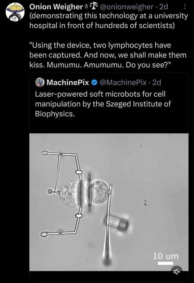 Scientists introduce microbots to make lymphocytes kiss and the internet decides it's an anime scene