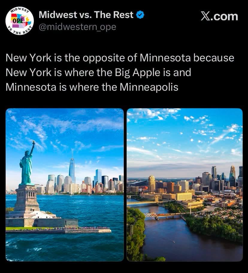 Lol, I love this pun comparing NYC and Minneapolis. The Big Apple vs. Minneapolis is genius.