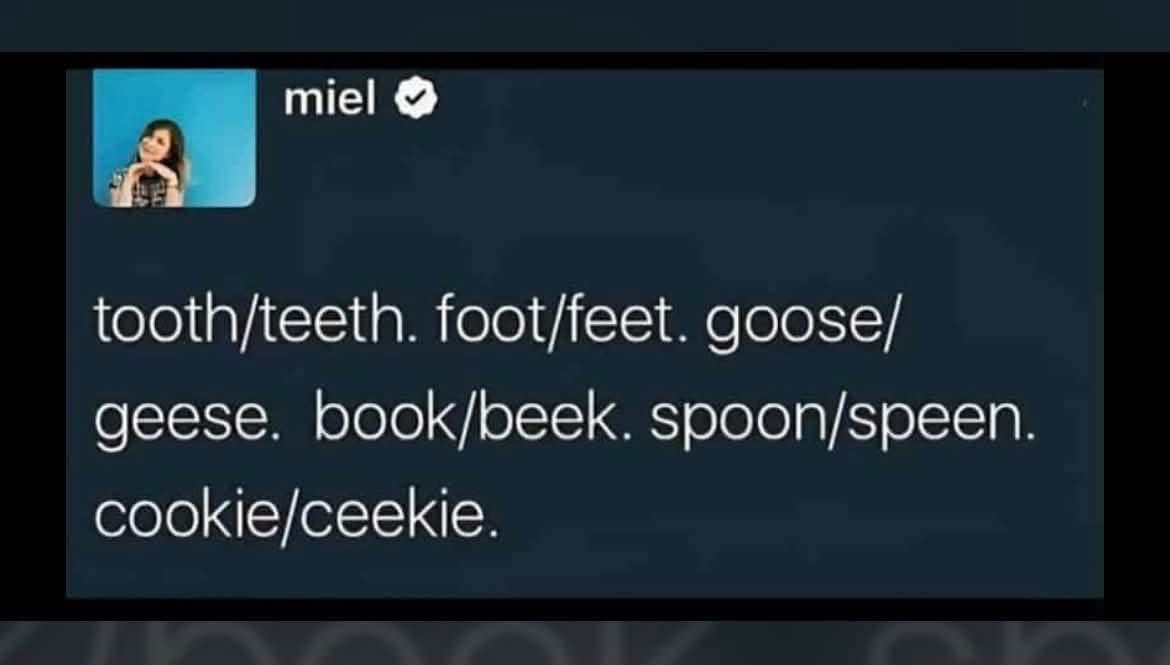 me trying to learn irregular plurals vs. the internet's attempt at irregular plurals