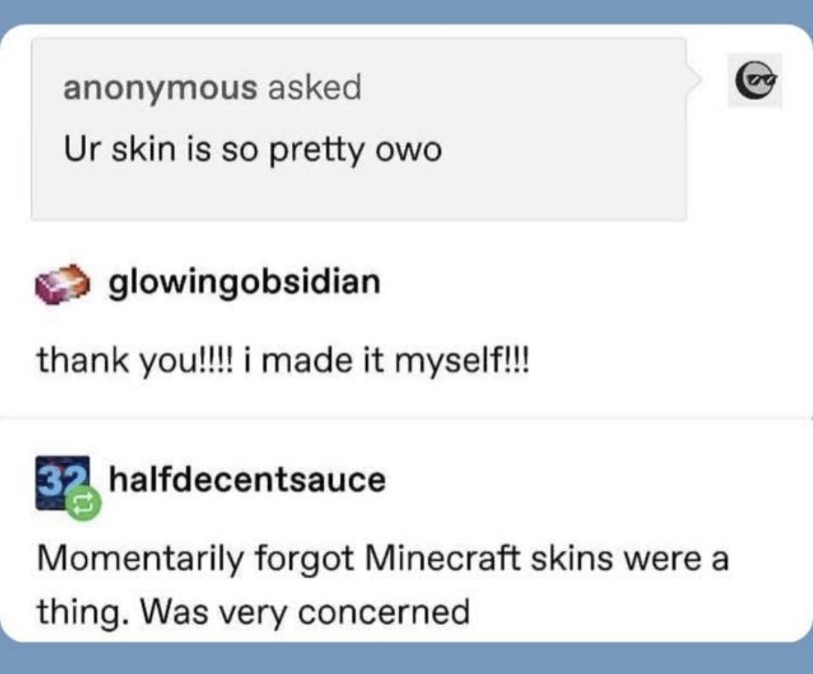 When you forget Minecraft skins exist and someone compliments your character's skin, making you think they're talking about actual skin.