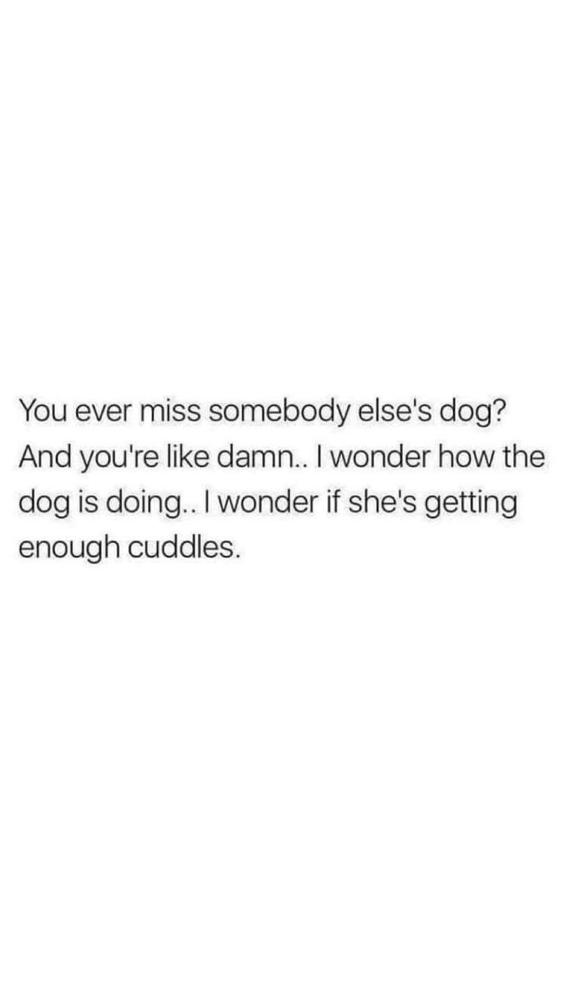 Me missing my friend's dog way too much.