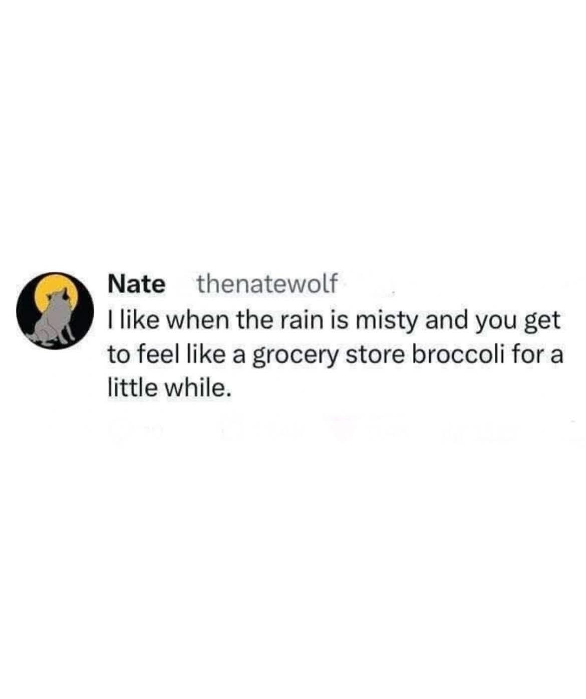 This person likes misty rain bc it makes them feel like grocery store broccoli lol