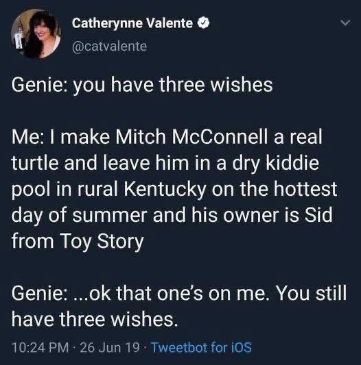 When the genie says "no wishing for more wishes" but you get creative with a politician and a cartoon villain