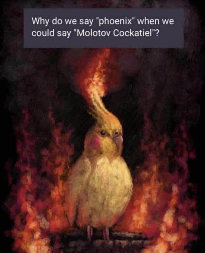 LOL why would anyone say phoenix when Molotov Cockatiel is right there???