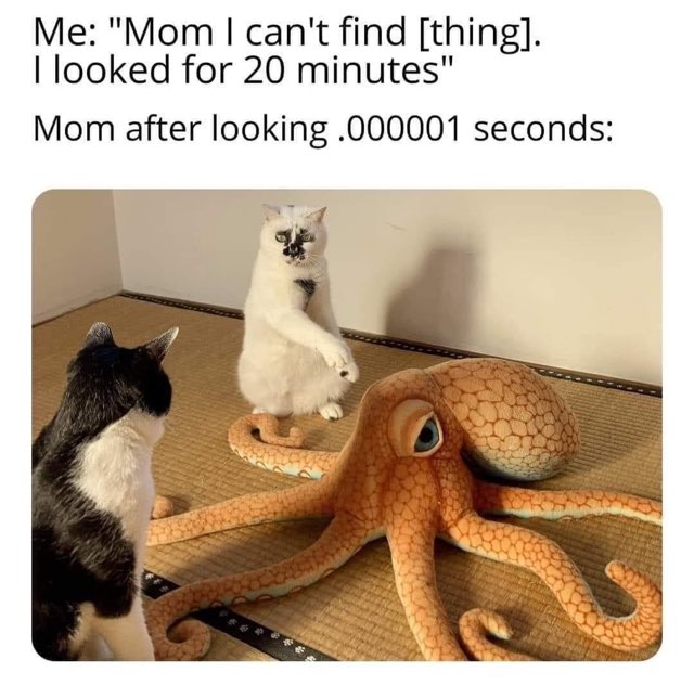 My mom finding the thing I was looking for 'everywhere' in literally half a second