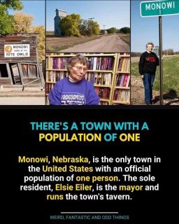 Found the town with the best HOA board. Only one vote needed!