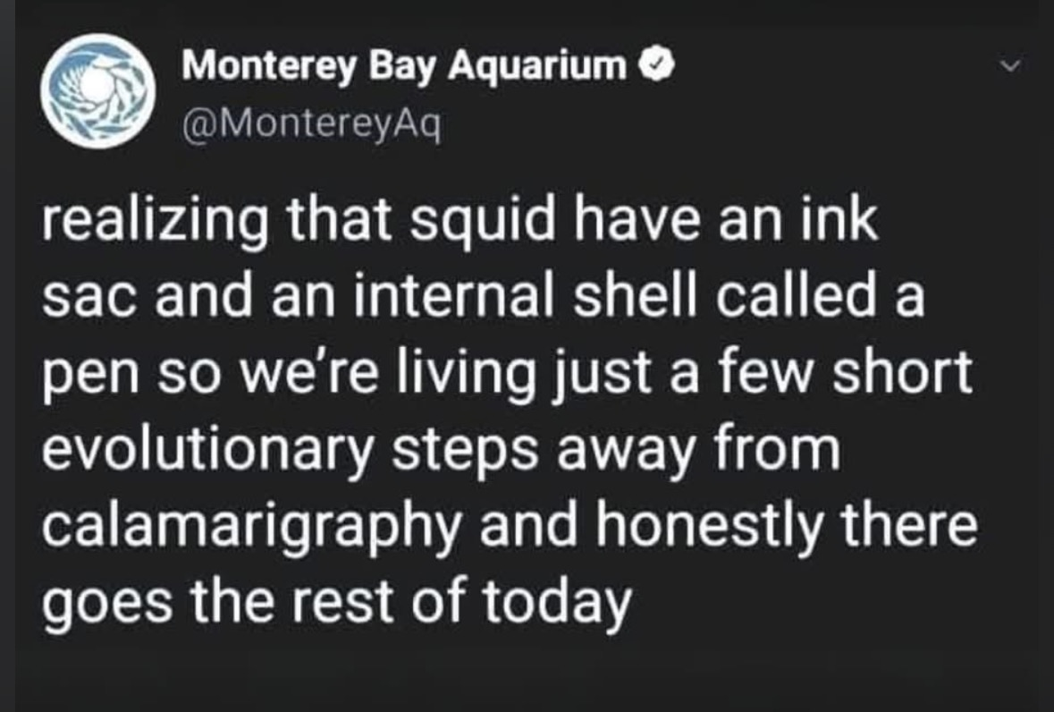 wait, squid have an ink sac and an internal shell called a pen? so they're basically calligraphers??? my brain is broken