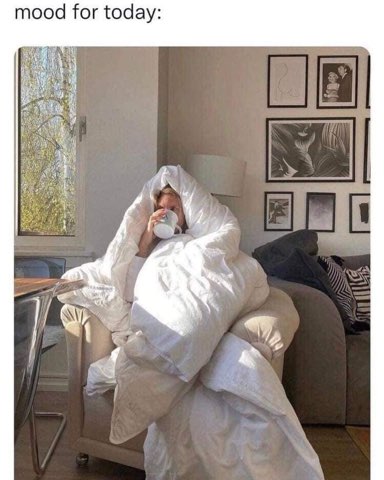 Me trying to adult but fully embracing my need to stay in bed all day.