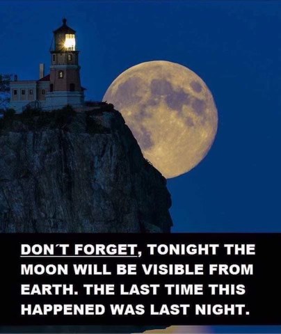 OMG did you guys hear?? The moon is gonna be visible tonight! Wild, right?