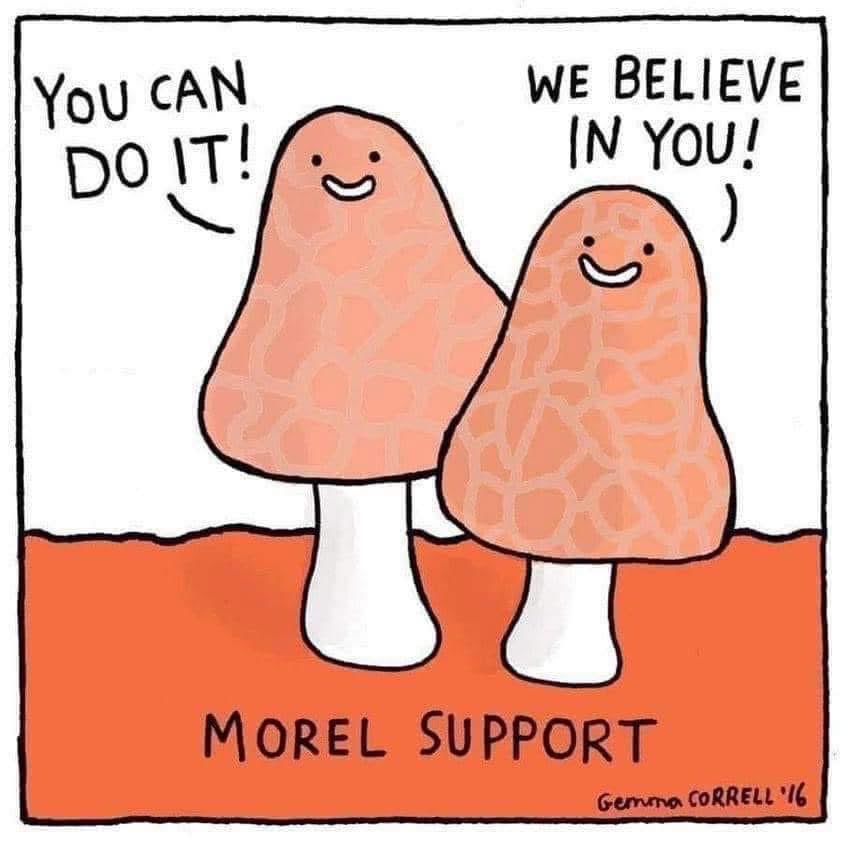 It's a pun, I get it. You have my moral support.