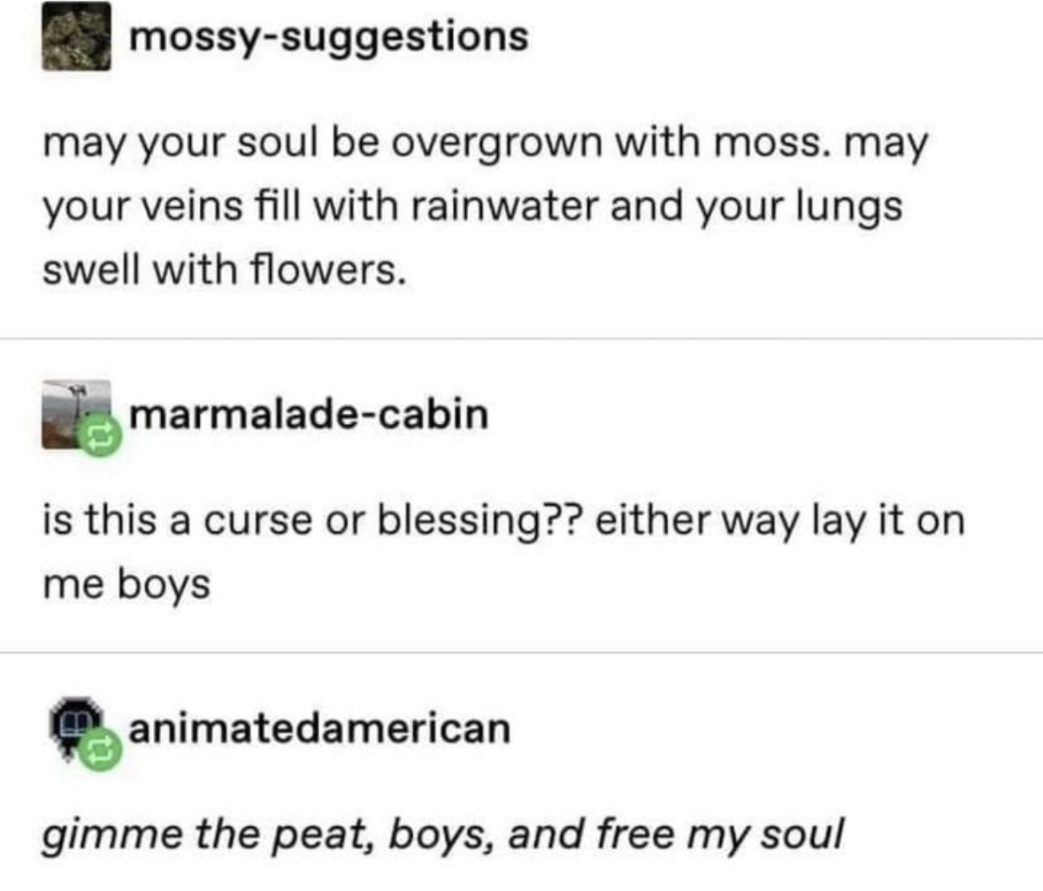 Someone wants to embrace the swamp life, and I am here for it