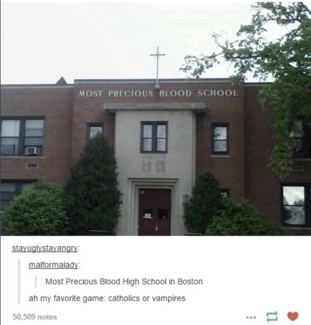 When the school name sounds like a vampire dating sim