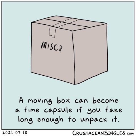 Anyone else have a box labeled 'misc?' from their last move that's basically a time capsule now?