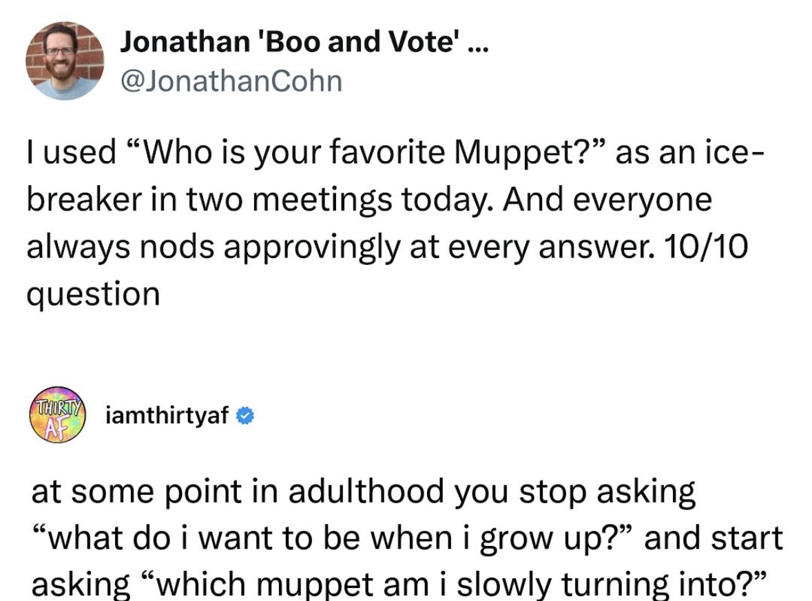 Me realizing that asking 'which muppet am i turning into' is the new 'what do I want to be when I grow up'
