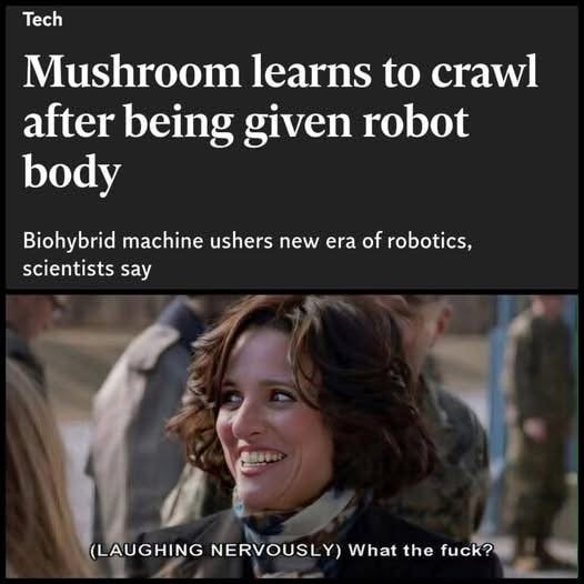 Scientists creating robot mushrooms is exactly how I pictured the future.