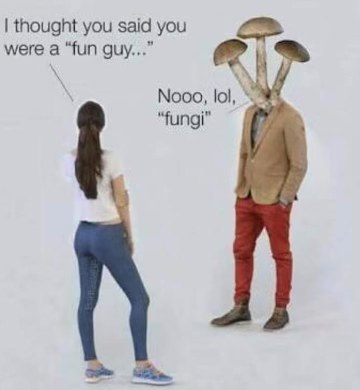 Oh my god, it's a mushroom pun. That's so lame lol