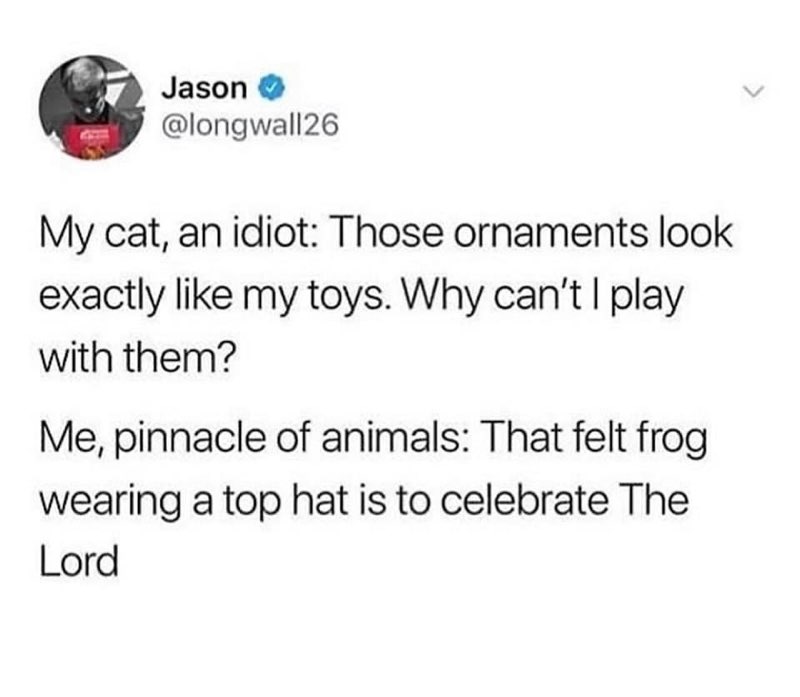 My cat is an idiot bc it wants to play with ornaments, but I'm the pinnacle of animals bc I think a frog in a hat celebrates God??