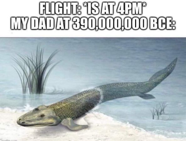 My dad showing up 5 minutes before my flight to tell me the departure time.