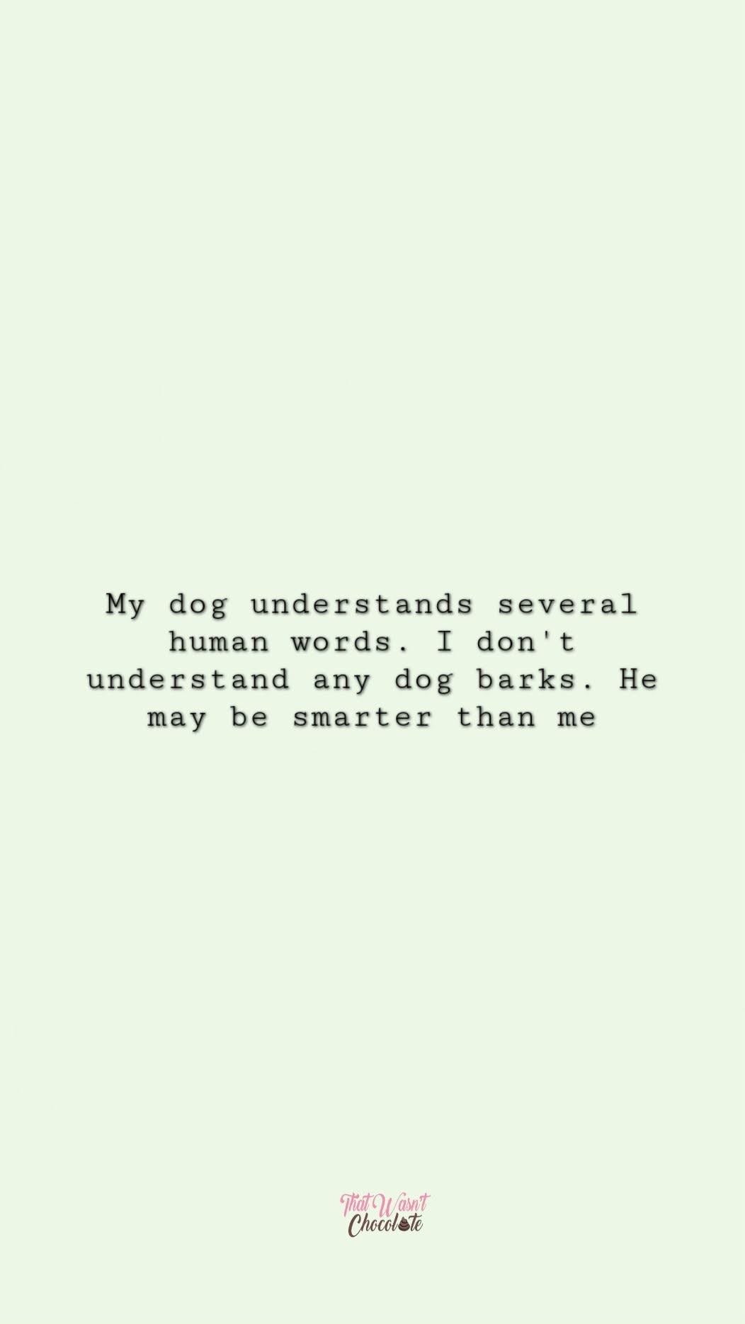 My dog understands me better than I understand myself