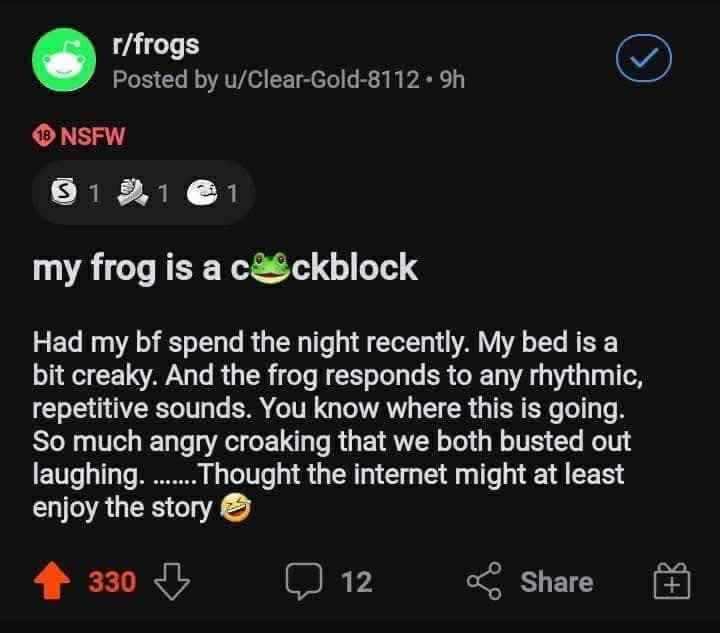 My frog is out here being a wingman... for himself. My bed is creaky and apparently my frog thinks it's a duet.