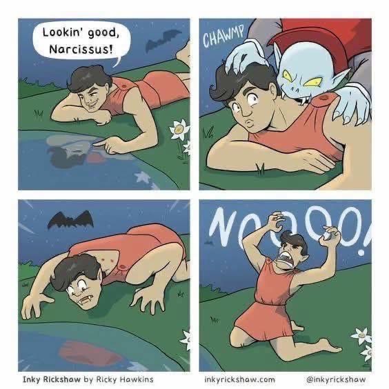 When you're admiring yourself too much and forget vampires exist