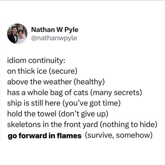 This list of alternative idioms is cracked, especially 'skeletons in the front yard' for having nothing to hide lol