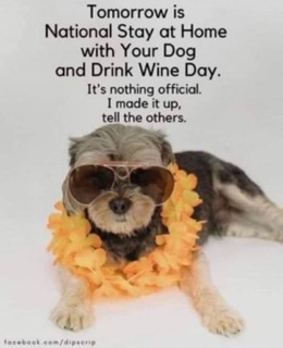 OMG, my kinda holiday. Guess we're calling tomorrow National Dog & Wine Day, and I made it official.