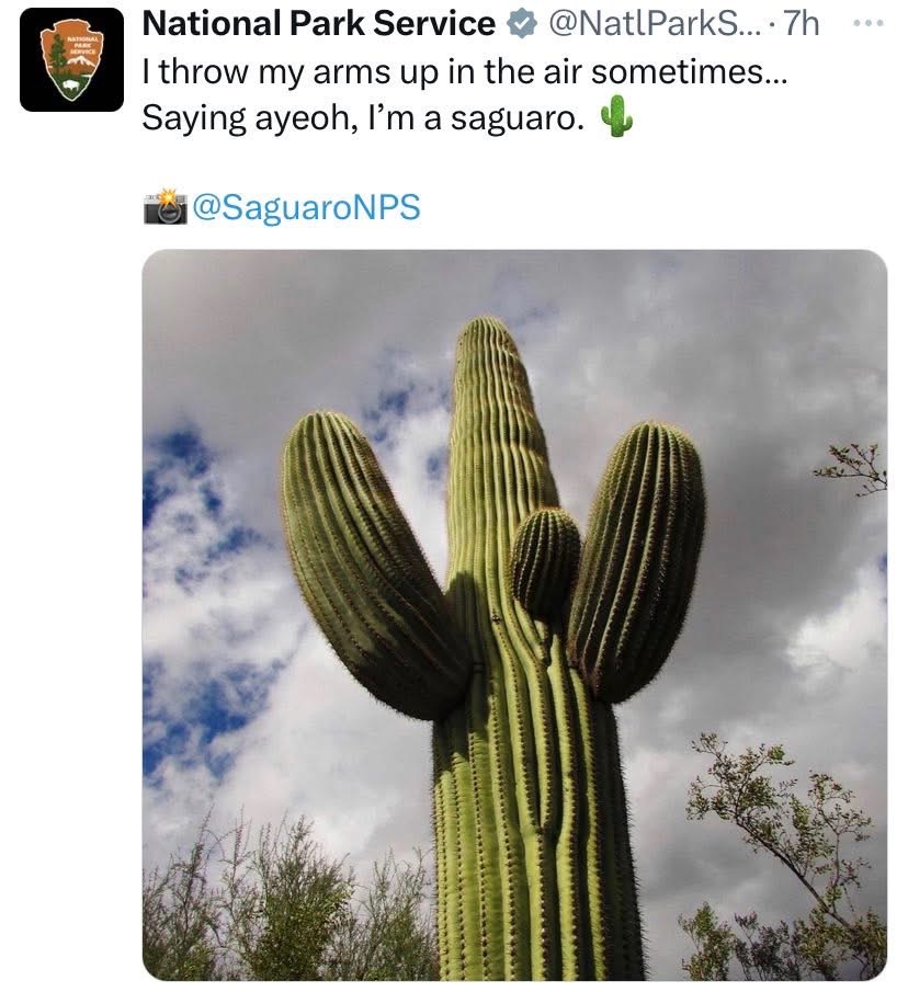 National Park Service out here making saguaro cacti sing 'Hey Ya!'