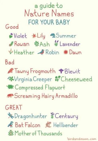 Why would anyone name their kid Screaming Hairy Armadillo? Some of these are wild.