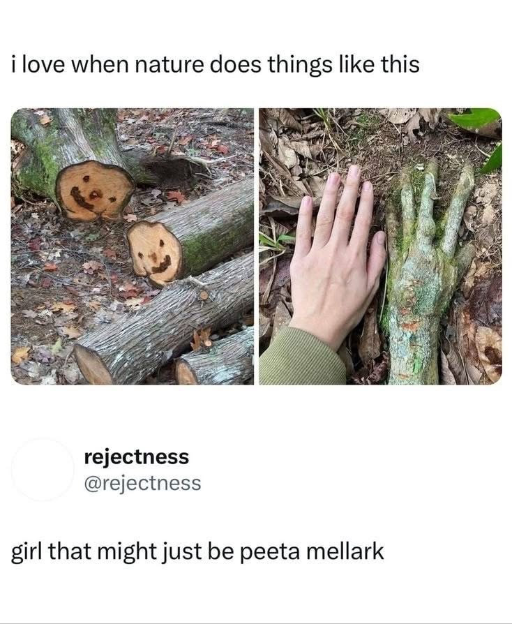 nature made a happy little log and then a creepy hand-shaped tree root lol