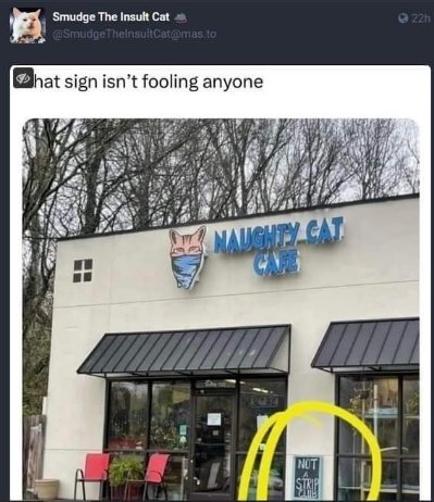 When the place is called 'Naughty Cat Cafe' but the sign says 'Not a strip club'