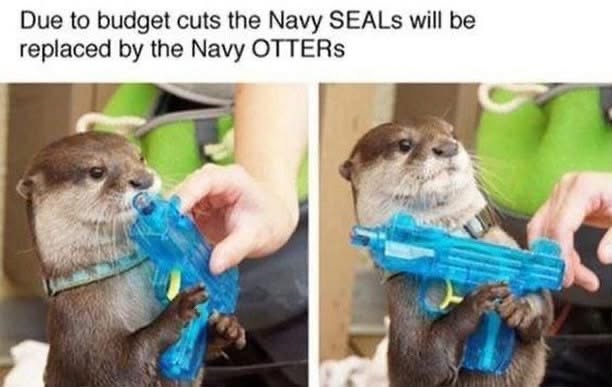 Navy SEALs getting budget cuts and being replaced by otters with water guns is kinda hilarious
