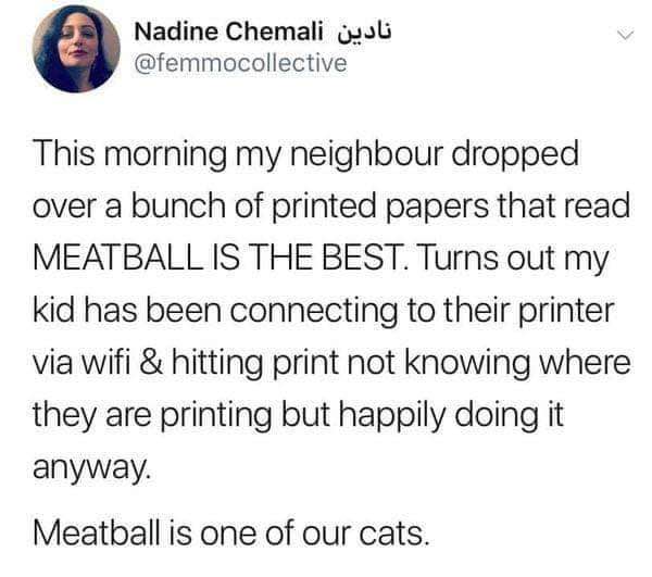 My kid has been anonymously spamming the neighbor's printer with 'MEATBALL IS THE BEST' because meatball is our cat.