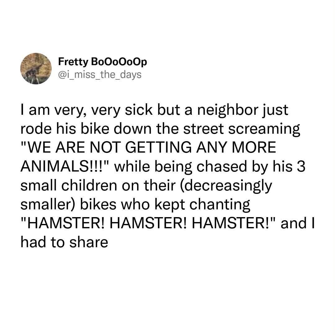 Neighbor screaming he's not getting more animals while his kids chant 'HAMSTER!' at him. I can't.