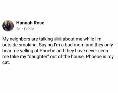 When your neighbors think you're a bad mom because they only hear you yelling at your cat, Phoebe.
