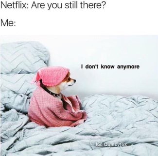 Netflix asking if I'm still watching and me having no idea how long I've been on the couch